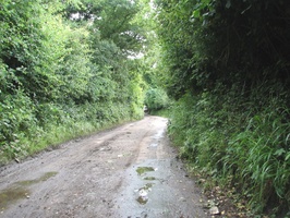 Narrow country lanes outside Winterbourne, England