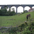 Viaduct near Winterbourne, England