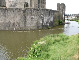 Caerphilly Castle - "Get Your Ducks in a Row"
