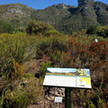 Kirstenbosch Gardens - Ericas and Fynbos from the Cape Peninsula