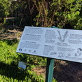 Kirstenbosch Gardens - Thirst quenching plants
