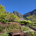 The Kirstenbosch Tea Room Restaurant near the upper entrance