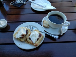 Filter coffee with scones and clotted cream at The Kirstenbosch Tea Room Restaurant