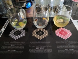 Tasting three different Gins with diferent extras added such as sticks of cinnamon, apple, cucumber, mint leaves, orange peel, etc