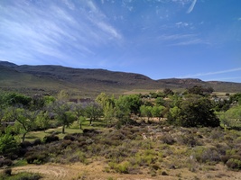 View of Kromrivier farm from the koppie