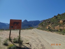 Leopard sign at top of Niewoudts Pass