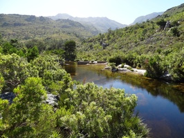 View downstream of Bains Kloof river