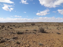 Karoo landscape near Prince Albert