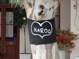 I Love the Karoo!