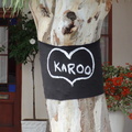 I Love the Karoo!