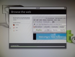 Linux Mint 12 Install - Web browsing