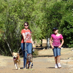 African Tails Dog Rescue Walk