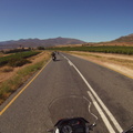 Vineyards lining the road to Villiersdorp
