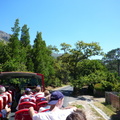 Tree lined drive down into Hout Bay