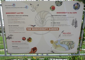 Green Point Park - The Biodiversity Garden