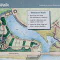 Green Point Park - Wetland Walk