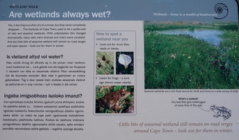 Green Point Park - Are Wetlands Always Wet?