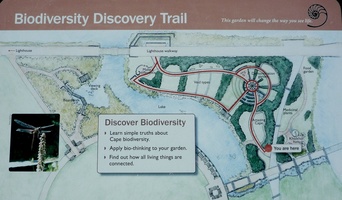Green Point Park - Biodiversity Discovery Trail