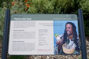 Green Point Park - Plants that Heal