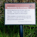 Green Point Park - Biodiversity is Everything!