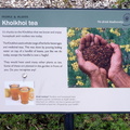 Green Point Park - Khoikhoi Tea