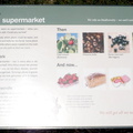 Green Point Park - Veld Supermarket