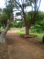Park at Central Square in Pinelands