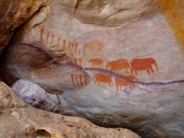 The Elephant paintings at Stadsaal Caves