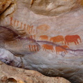 The Elephant paintings at Stadsaal Caves