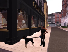 Walking my Zooby Ultimate Doberman in Second Life