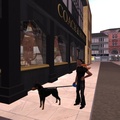 Walking my Zooby Ultimate Doberman in Second Life