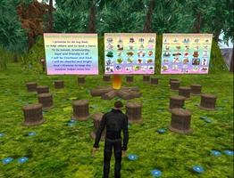 Scouting in Second Life
