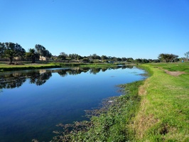 Views along the Liesbeek River