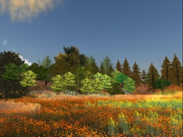 Forest Feast Second Life - Flower Field