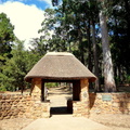 Entrance to Tokai Plantation in Table Mountain National Park