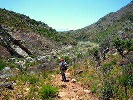 Nearing the mouth of the Steenbras River