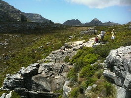 View of old cableway on Table Mountain above Camps Bay