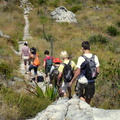 Our group on the move