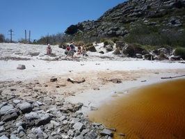 Small beach at top of Hely-Hutchinson Reservoir on Table Mountain