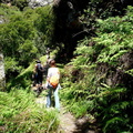 Heading up Skeleton Gorge