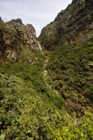 View up Slangolie Ravine on Table Mountain