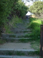 Stairway at the start of the Pipe Track trail