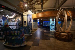 Inside entrance to Aquarium