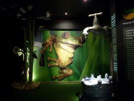 Frog exhibition