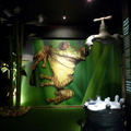 Frog exhibition