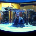 Danie inside a fishtank