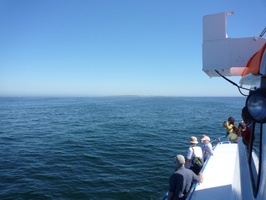 Robben Island in the distance.... took over a half an hour to get there