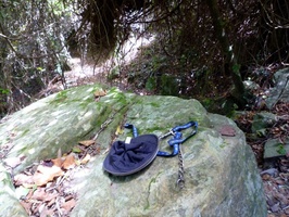 Abandoned hat and leash