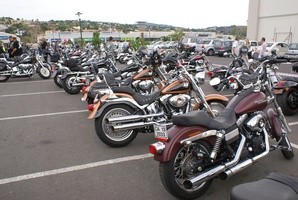 Harley's lined up at the end of the ride