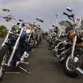 Line up at start of K.I.D.S Charity Ride